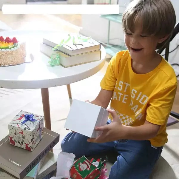 Spinner Boomerang™ Ultimas Unidades